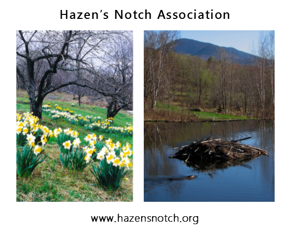 hazens-notch-association