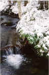 Brookfall
