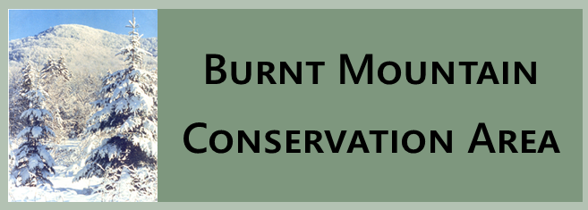 Burnt Mountain Conservation Area, Montgomery, Vermont