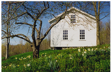 Photograph by Rolf Anderson.