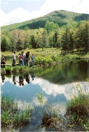 Moosewood Ponds