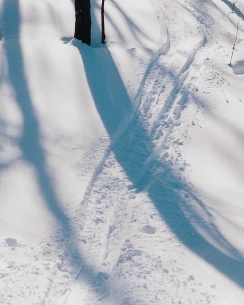 photo by Rolf Anderson